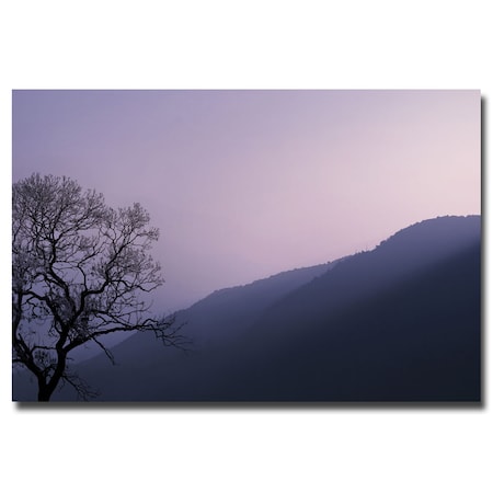 Philippe Sainte Laudy 'Purple Hours' Canvas Art,16x24